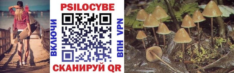 Купить закладки  Бутурлиновка  Галлюциногенные грибы MAGIC MUSHROOMS 